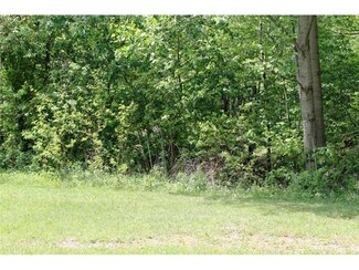 RD #1 Weyant Rd, Saltlick Township, PA 15469