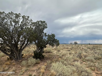 1224 E Valle Rd Unit 8, Williams, AZ 86046