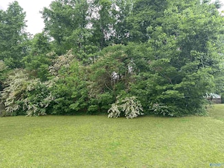 Lot 2 Bethel St NE, Hartselle, AL 35640