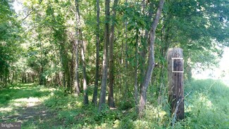 0 Hubbards Rd Unit 1005207507, Elkwood, VA 22718