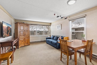 333 S Davis St Unit 322, Telluride, CO 81435