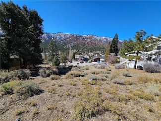 0 Apple Vista Dr Unit CV25053974, Wrightwood, CA 92397