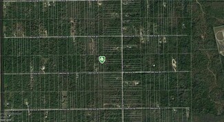 4445 28th Ave SE, Rural Estates, FL 34117