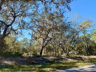 Lot 13 Apricot Ave, Eustis, FL 32736