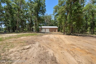 11440 S Pleasant Grove Rd, Floral City, FL 34436