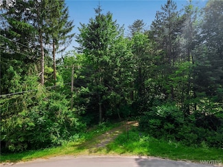 11665 Carpenter Rd, Wales, NY 14139