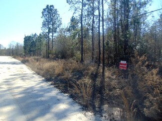 6.01 Acr Robin, Swainsboro, GA 30401