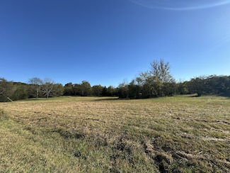 8625 Webb Rd, College Grove, TN 37046