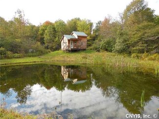 0 Leon Davis Rd Unit S264374, Pharsalia, NY 13155