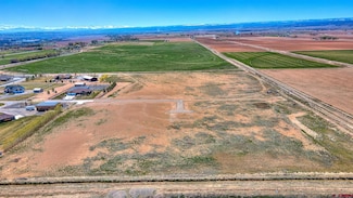 Lot 4 Chantelle Ln, Delta, CO 81416
