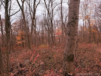 72D Walnut St, Seymour, CT 06483