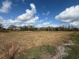 2 County Road 700, Brazoria, TX 77422