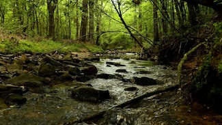 0 Brushy Creek Rd, Newhope, AR 71959