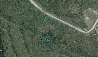 Lot 26 Picketts Mill Trail, Waynesville, GA 31566