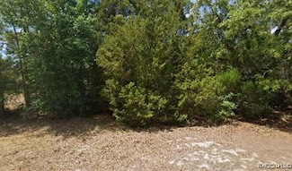 2672 S Willow Terrace, Homosassa Springs, FL 34448