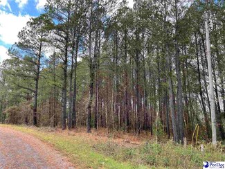 0.77 +/- Hunters Run Ln, Wallace, SC 29596