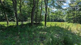 214 Larchwood Ln, Laurens, NY 13796