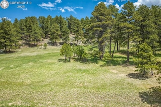 8790 Moss Rock Rd, Black Forest, CO 80908