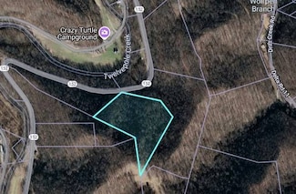 0 Twelvepole Unit 11592731, Wayne, WV 25507