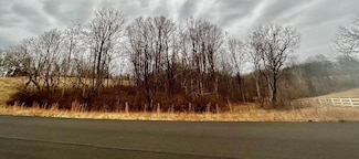 Lot 45 Red Barn Ln, Wirtz, VA 24184