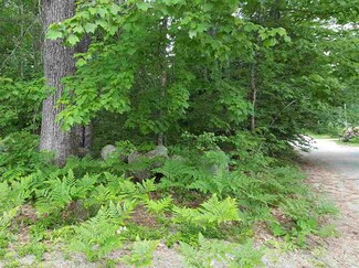 Lot 64 Iron Works Rd, Effingham, NH 03882
