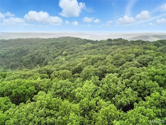 1422 Emily Ln, Plattin Township, MO 63028