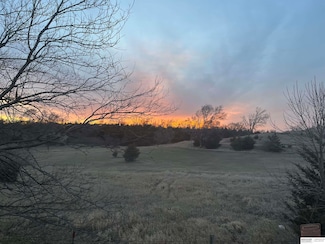 Parcel 4 County Road 33, Blair, NE 68008