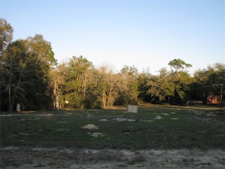 6737 SW 166th Terrace Rd, Ocala, FL 34481