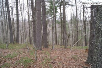 Lot 74 Forest Hill Dr, Sparta, NC 28675