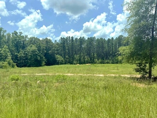 18868 Honeysuckle Creek Ln, Andalusia, AL 36421