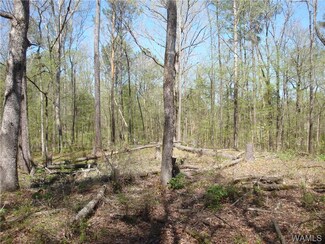 00 N Hagler Rd, Northport, AL 35475