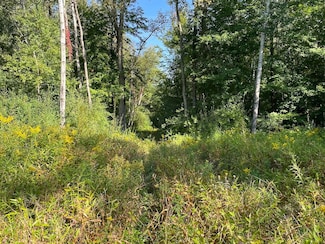 9000 Canada Rd, Birch Run, MI 48415
