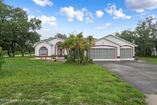 8409 Nuzum Rd, Weeki Wachee, FL 34613