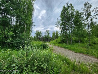 L10 B2 W Goldstreak Dr, Big Lake, AK 99654