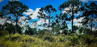 807 Monroe Ave, Lehigh Acres, FL 33936
