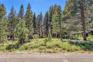 11850 Bottcher Loop, Truckee, CA 96161