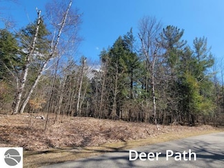 3 Deer Path, Custer Township, MI 49615