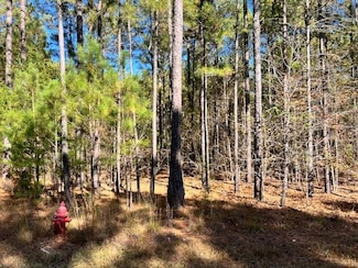 0 Mariners Way Unit Lot 41, Lincolnton, GA 30817