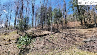 36 Running Bear Cir, Banner Elk, NC 28604