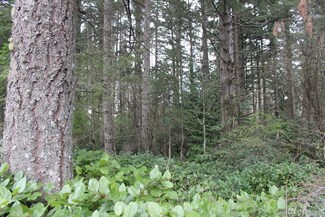 1 160th St NW, Olalla, WA 98359