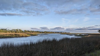 Lot 12 Carrol Dr, Oyster Bay, FL 32327