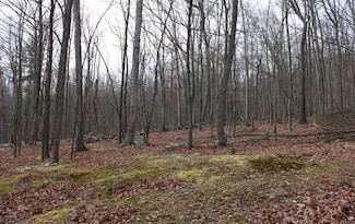 0 Whispering Pines Rd Unit 22267892, Slanesville, WV 25444