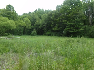 0 Morris Branch Rd Unit 25-666, Meadow Bridge, WV 25976