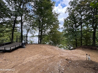 3090 Hickory Nut Dr, Hernando, MS 38632