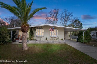 12317 Hallmark Ave, Brooksville, FL 34613