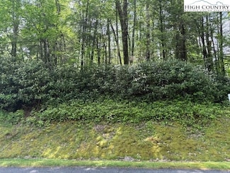 Lot 42 Linville River Ln, Linville, NC 28646