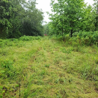 2852 County Road 3411, Clarksville, AR 72830