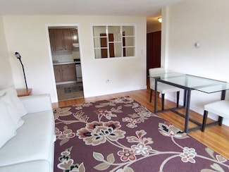 215 Massachusetts Ave Unit 45, Arlington, MA 02474