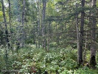 940 W Gail Dr, Wasilla, AK 99654