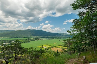 0 - L16 Mount Path, Middleburgh, NY 12122